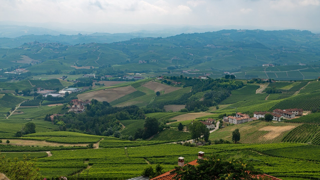 Vineyards of the Langhe seen from La Morra